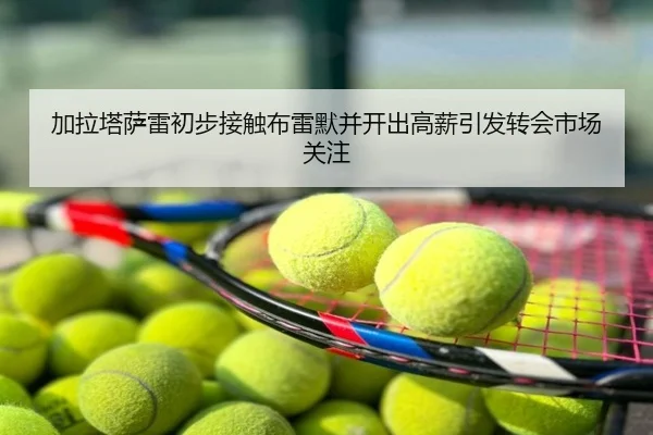 加拉塔萨雷初步接触布雷默并开出高薪引发转会市场关注