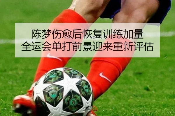 陈梦伤愈后恢复训练加量 全运会单打前景迎来重新评估